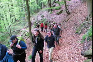 Gruppe_im_Wald_web