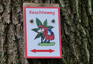 CIMG8307Keschtenweg