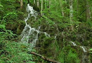 CIMG8359_Wasserfall