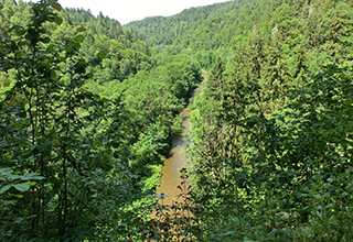 CIMG8374_Wutach