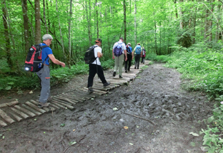 CIMG8402_Matsch