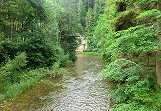CIMG8409_Wildnis