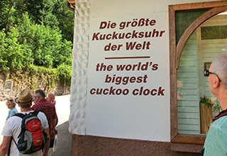 CIMG8438kuckkoo