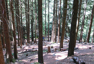 CIMG8442_ZickZackweg