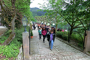 CIMG8991_web