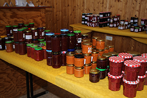 IMG_9669_web