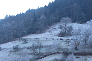 IMG_9752_web